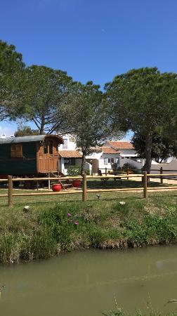 Le Petit Train Camarguais